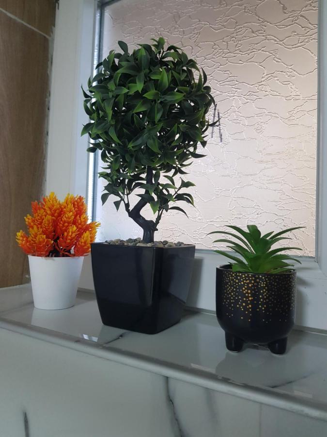 City Diamond Apartment スコピエ エクステリア 写真